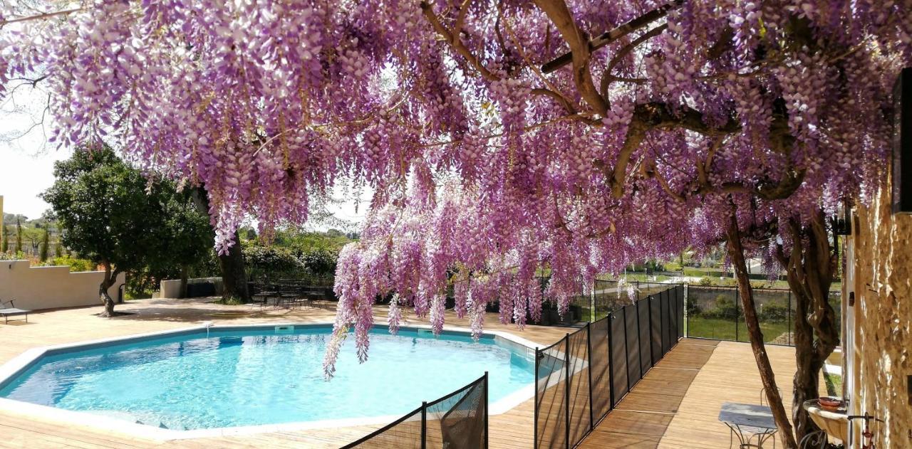 Château MontPlaisir charming b&b in Provence Valréas Extérieur photo