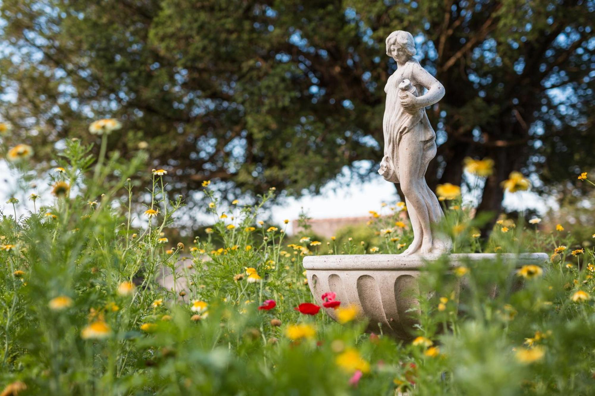 Château MontPlaisir charming b&b in Provence Valréas Extérieur photo