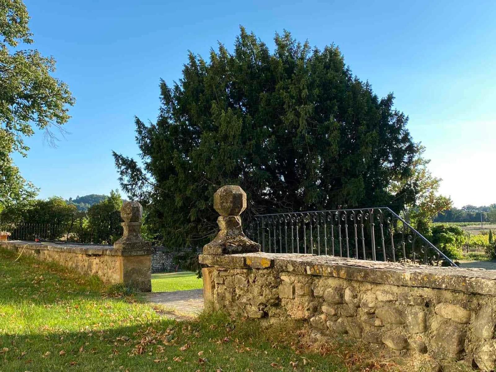 Château MontPlaisir charming b&b in Provence Valréas Extérieur photo